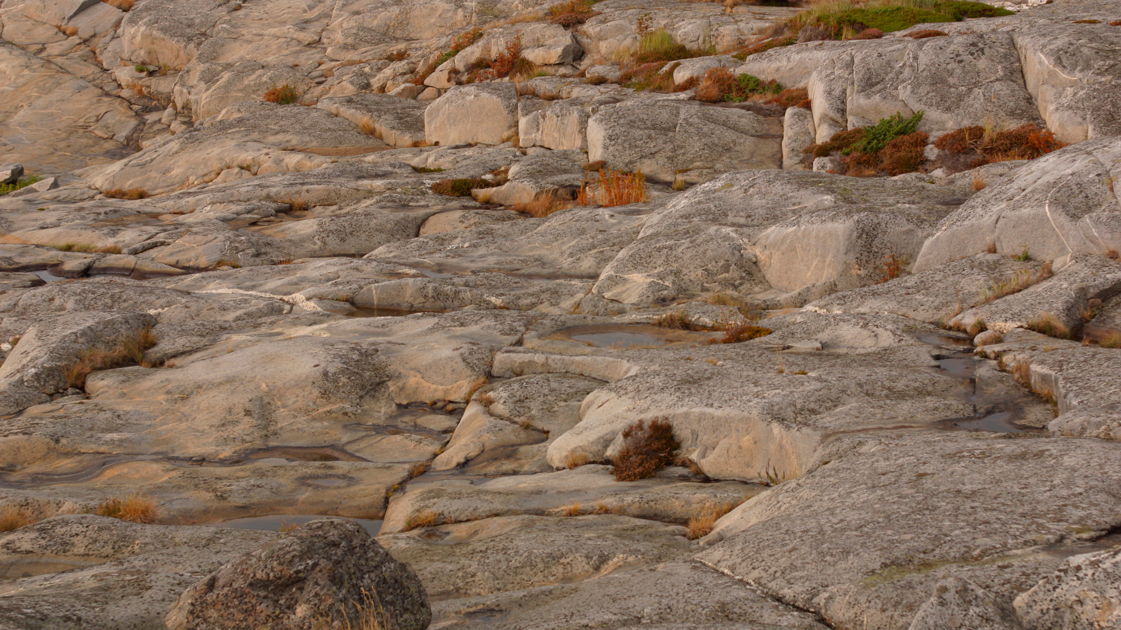 Exposed bedrock and rugged terrain typical of Muskoka sites—an example of how natural conditions impact the timeline to build a custom cottage.